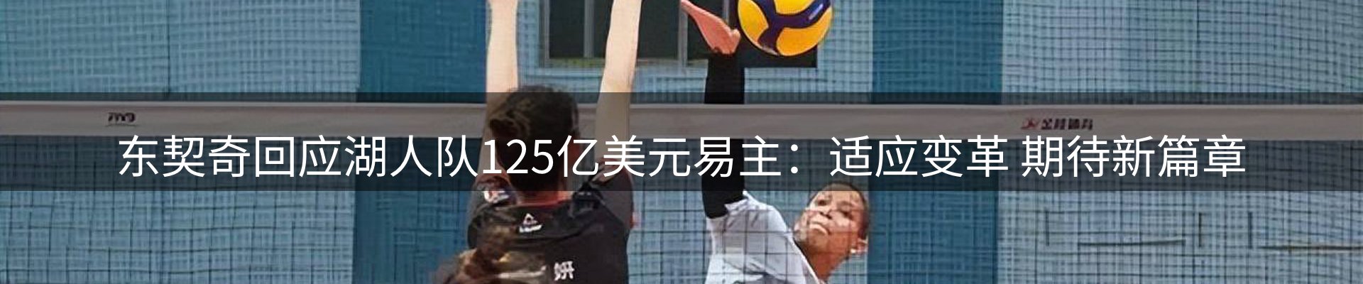 公司导读