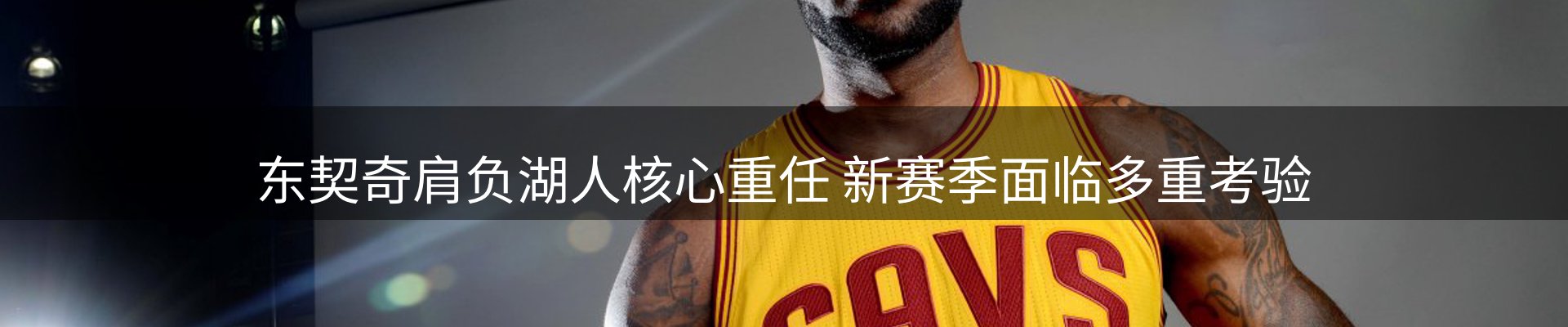 公司导读