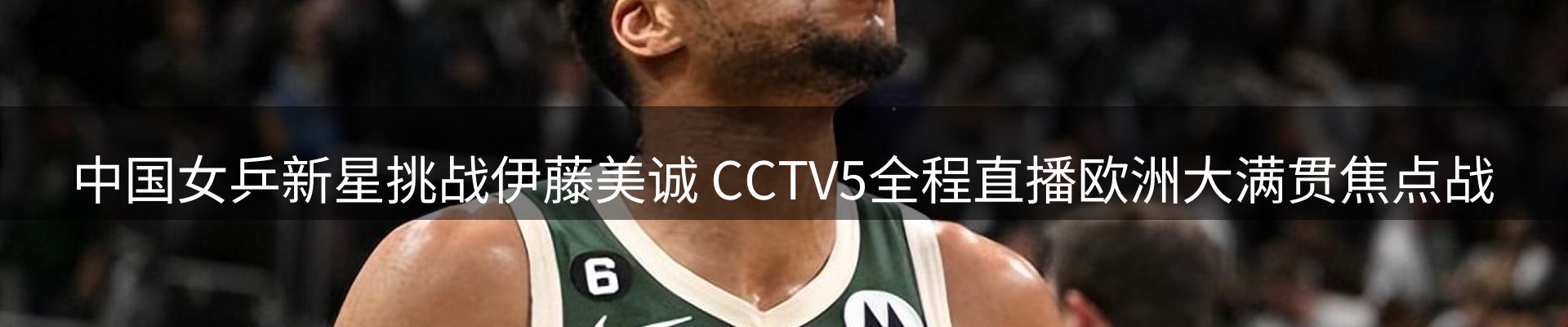 公司导读