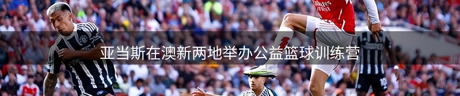 公司导读