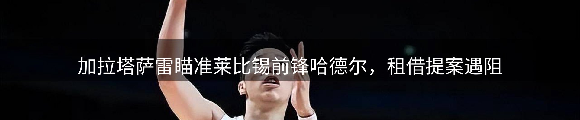 公司导读