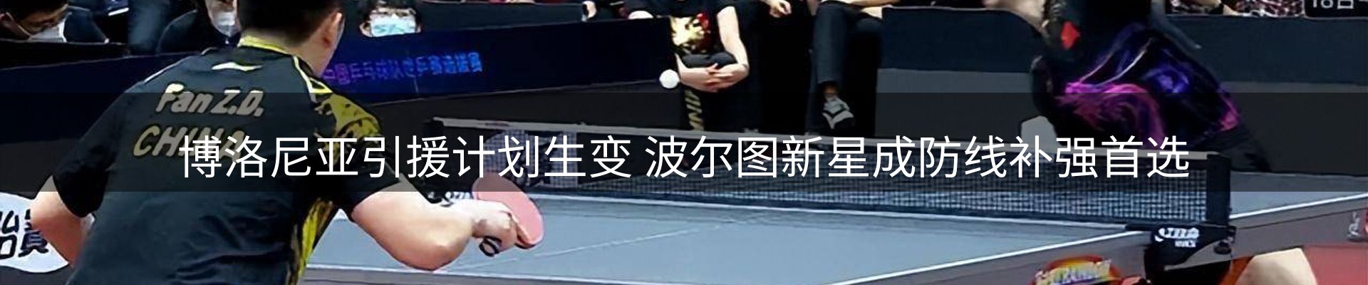 公司导读