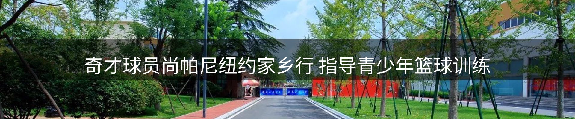 公司导读