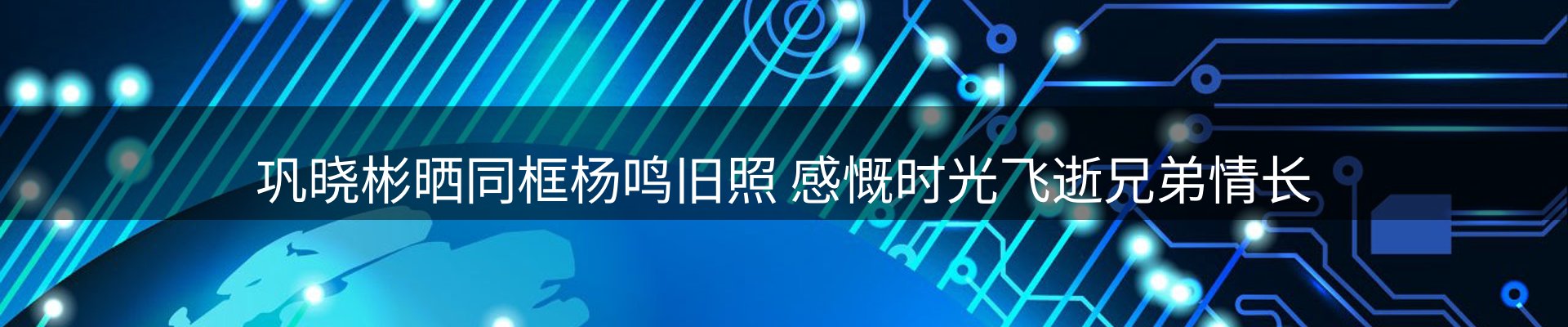 公司导读