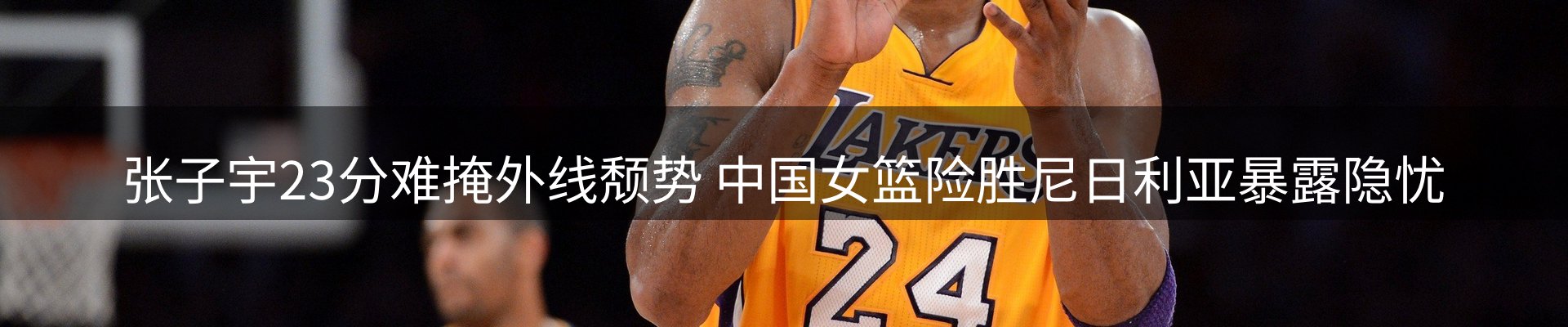 公司导读