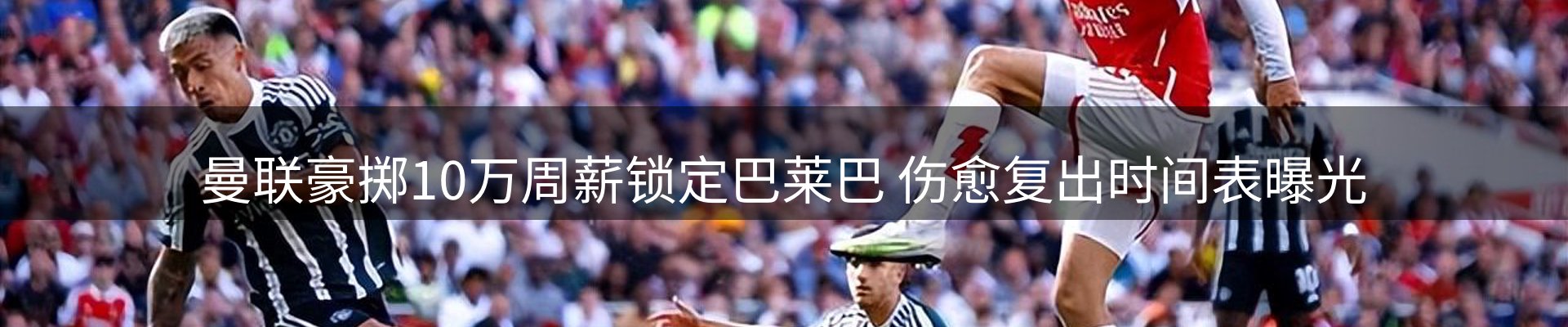 公司导读