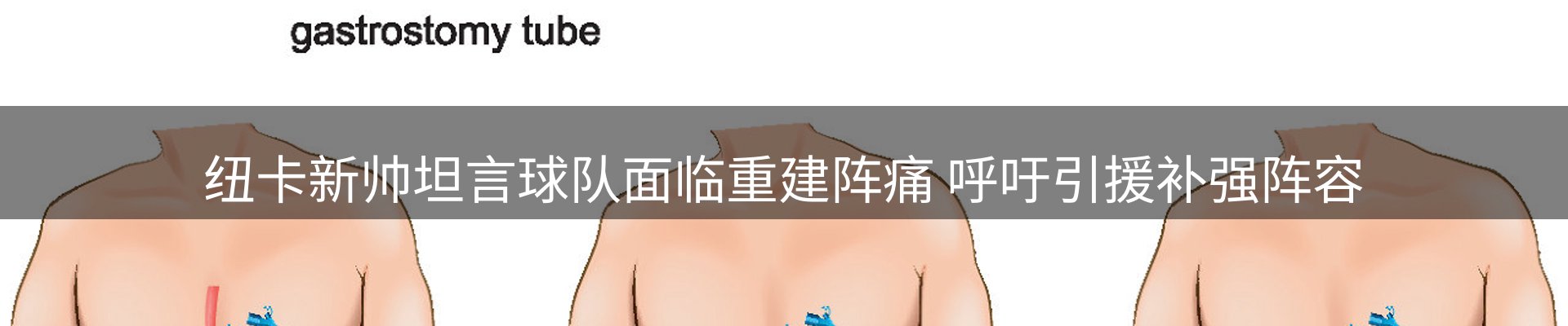 公司导读
