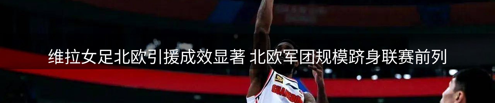 公司导读