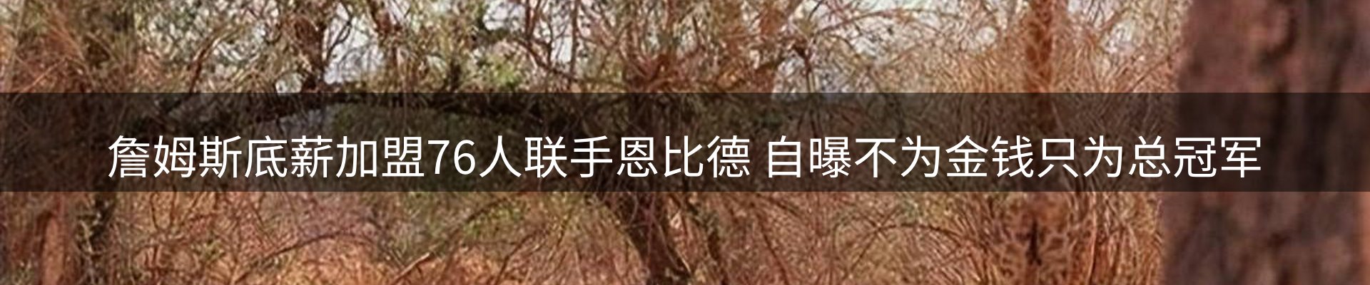 综合资讯