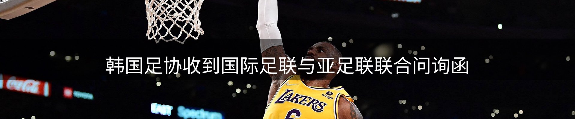 公司导读