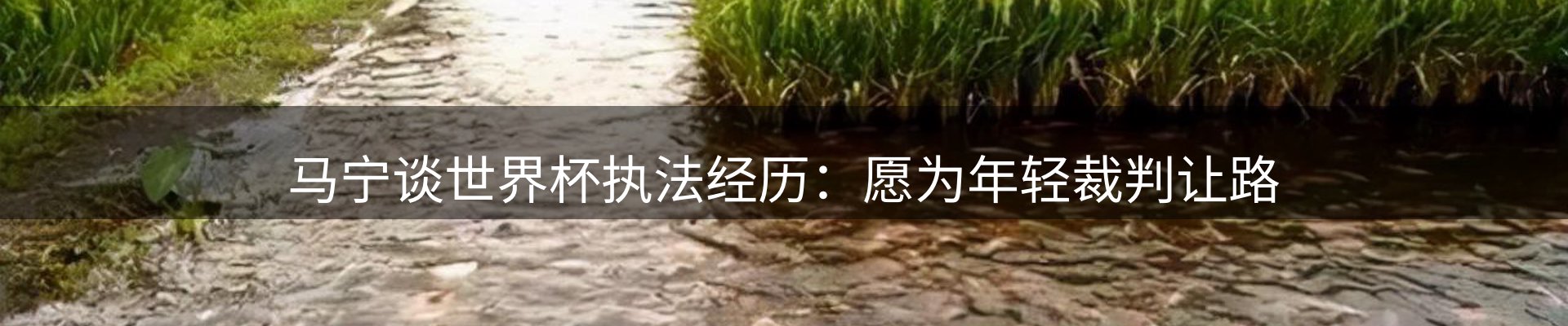 公司导读