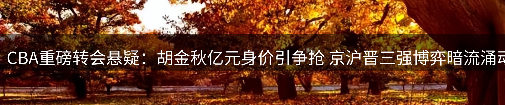 公司导读