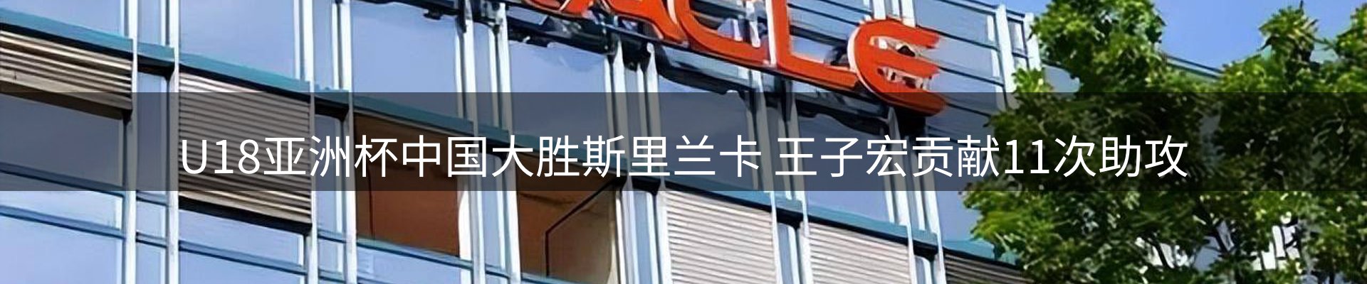 公司导读
